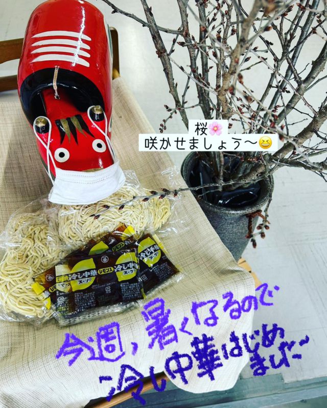 「赤べこ日記」

今週ーーー
　ふぐぅすま県でも
明日から
　来週はじめまで
17℃〜23℃

😱しかも！
最低気温0℃から🤣😮‍💨

カラダに
　悪いー〜ー😩

ここは、
冷し中華！
用意しておく😆👍

#冷し中華 #冷し中華はじめました #高温期 #春本番 #桜 #咲いた #早咲き #早咲き桜 #準備 #赤べこ #まる福 #ラーメン