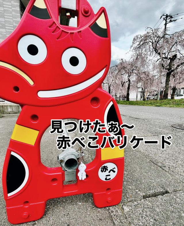 「赤べこ日記」
福島県喜多方市
　日中線枝垂れ桜並木を散策中に〜
　発見！赤べこバリケード😆

ワシオ商会さん
@washio_aizu 

果てしなく続く
しだれ桜は圧巻でした😆✨

昼食は当然☝️
　喜多方ラーメン✌️

#喜多方 #日中線しだれ桜 #赤べこ #ゆきお #まる福