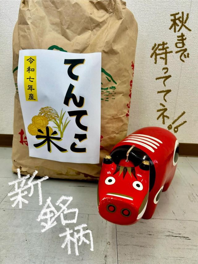 「赤べこ日記」

赤べこが新銘柄作ってがら〜
秋まで待っててくだっしょっ💦

#赤べこ #まる福
