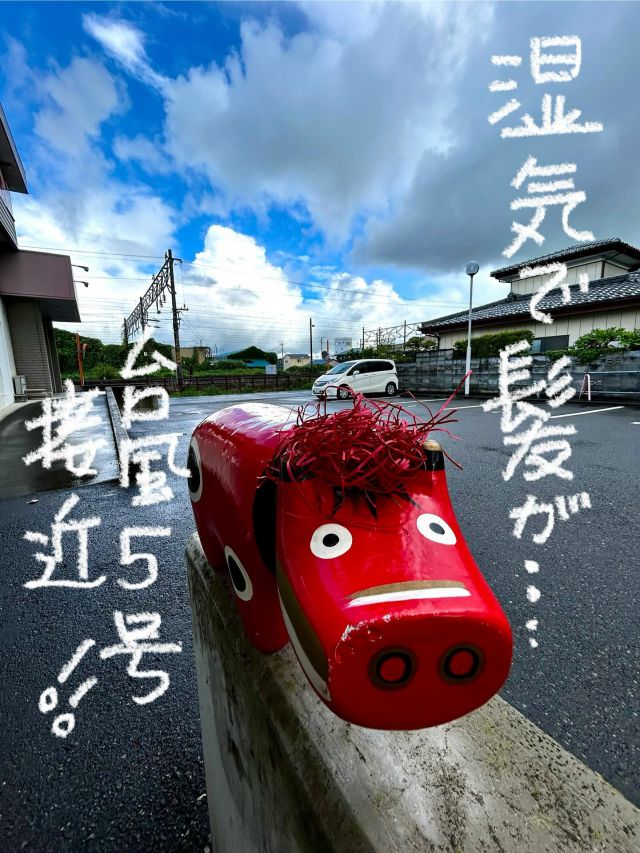 「赤べこ日記」

空気が〜南国🏝️🍍
湿気1000%

髪が爆発しちゃって〜
　困っちゃう🫩🫩・・・

#台風 #湿気 #赤べこ #まる福