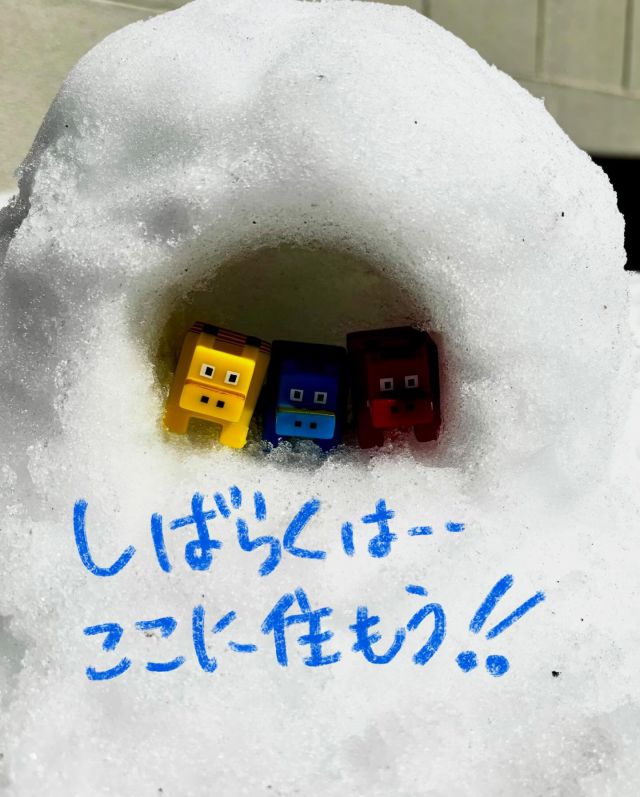 「赤べこ日記」
カクカク・シカ・ジカ(3匹の名前)
は、昨日の残雪で〜

憧れの「かまくら」を作ったよ✨✌️

#赤べこ #まる福 #残雪