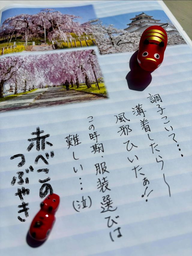 「赤べこ日記」

朝夕　日中の気温差激しく…
年齢とともに
　順応性が衰えて…🫩

反省してまた、
　タイツを履いた😅

#赤べこ #まる福 

　皆様　お気をつけください😆