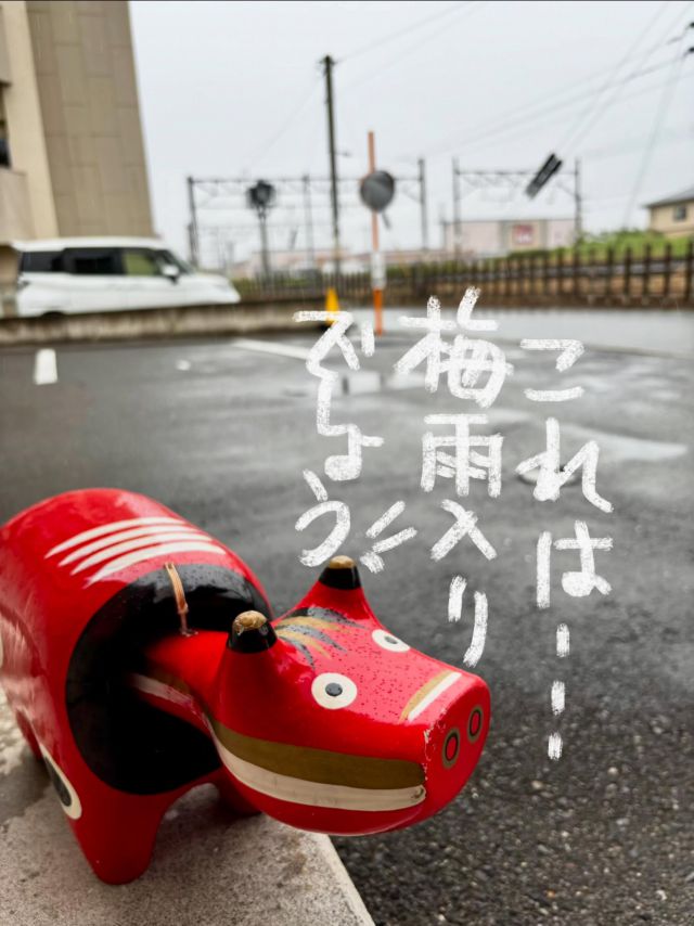 「赤べこ日記」　
これはもう梅雨入りでは☂️🤔

赤べこが
宣言致します☂️

#梅雨 #赤べこ #まる福
